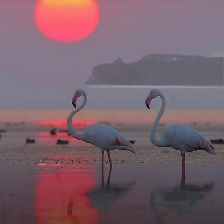 Suite Sardinia Holiday Cagliari Kültér fotó